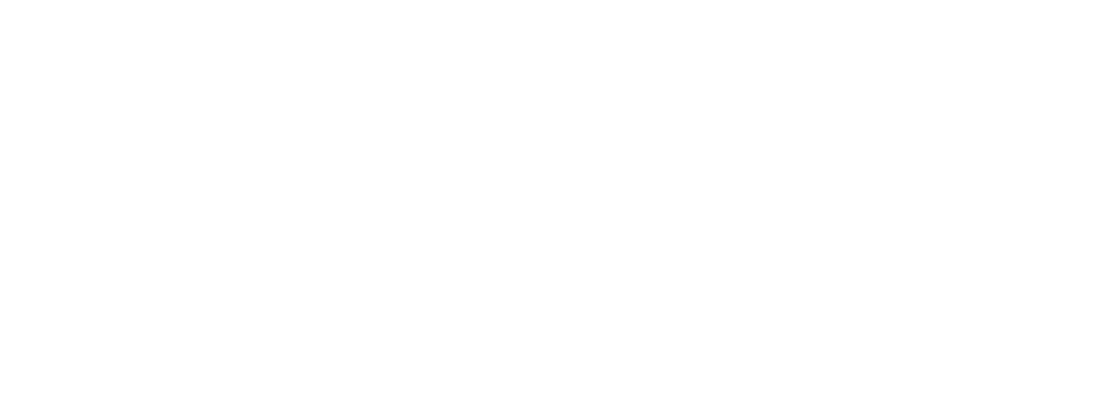 Dolphin Point White Logo
